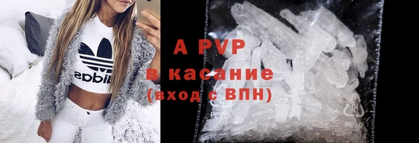 гашик Белокуриха